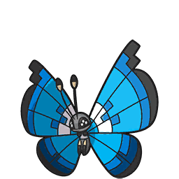 vivillon-marine